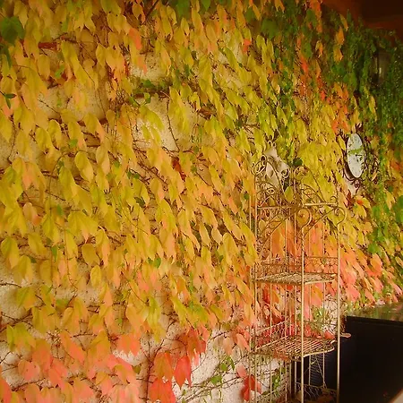 Margherita Le Fiabe Couette-café