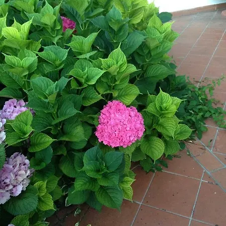 Margherita Le Fiabe Couette-café 4*