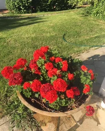 Bed & Breakfast Margherita Le Fiabe 4*