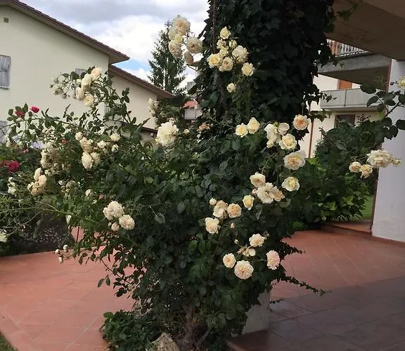 Oda ve Kahvaltı Margherita Le Fiabe SantʼAgata Feltria