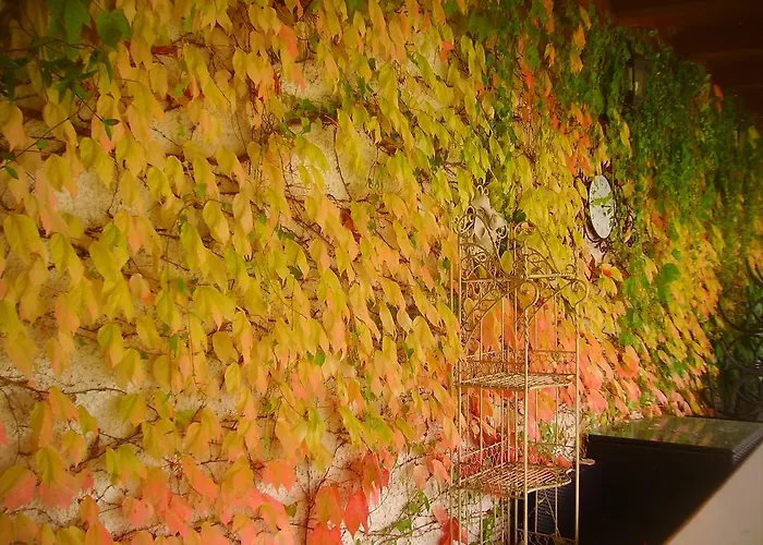 Margherita Le Fiabe Alojamento de Acomodação e Pequeno-almoço