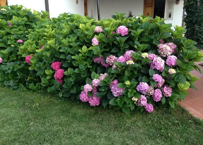 Margherita Le Fiabe 4*