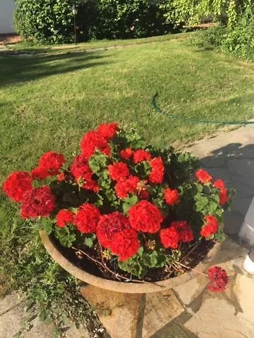 Oda ve Kahvaltı Margherita Le Fiabe 4*